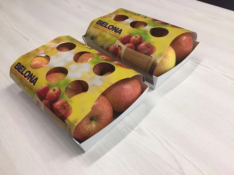 fruit pack